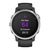 ​​Garmin Fenix 6S bandjes